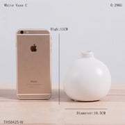 Nordic Style Ceramic Vases Hydroponic Plant