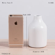 Nordic Style Ceramic Vases Hydroponic Plant