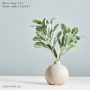 Nordic Style Ceramic Vases Hydroponic Plant