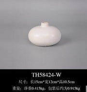 Nordic Style Ceramic Vases Hydroponic Plant