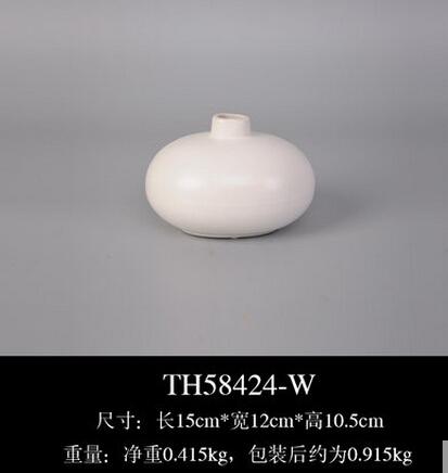 Nordic Style Ceramic Vases Hydroponic Plant