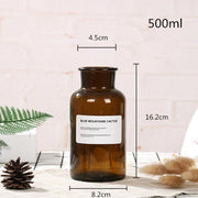 Glass Vase Flower Pot Flower Basket