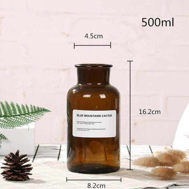 Glass Vase Flower Pot Flower Basket