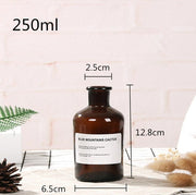 Glass Vase Flower Pot Flower Basket