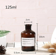 Glass Vase Flower Pot Flower Basket