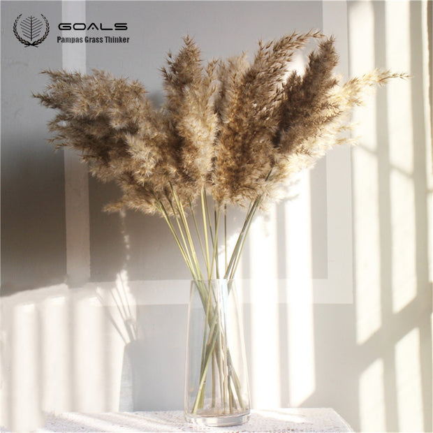 8Pcs Dried Pampas Grass Decor