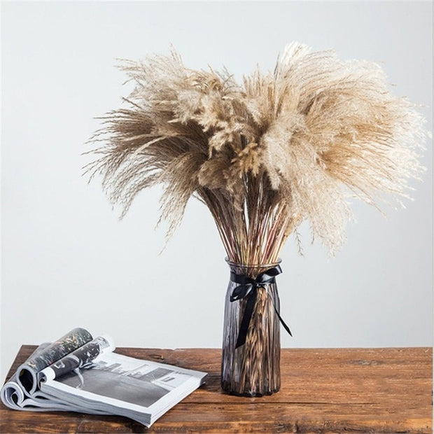 8Pcs Dried Pampas Grass Decor