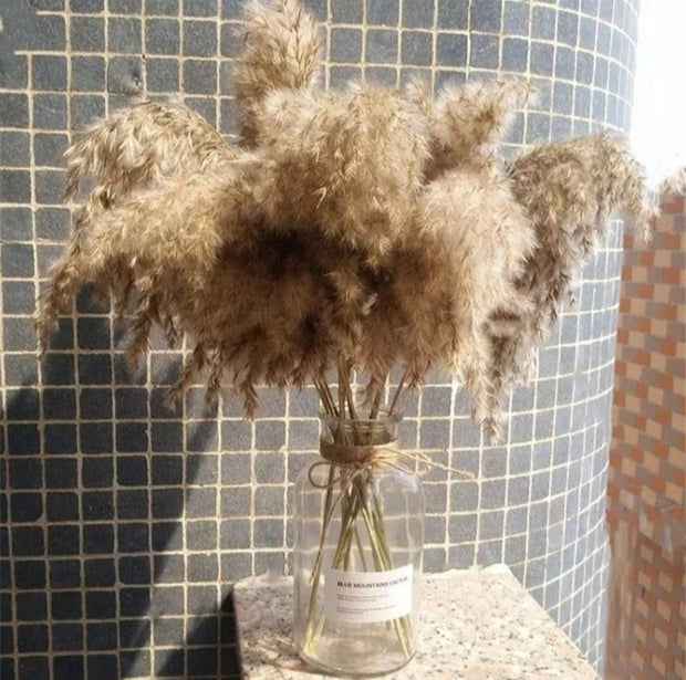 8Pcs Dried Pampas Grass Decor
